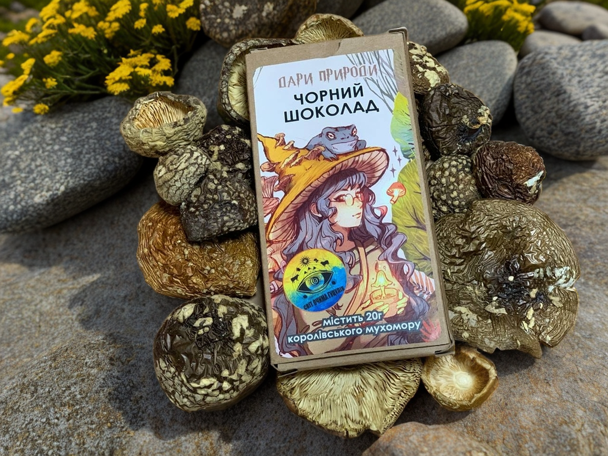 Бельгійський Шоколад з Королівським Мухомором